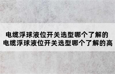 电缆浮球液位开关选型哪个了解的 电缆浮球液位开关选型哪个了解的高